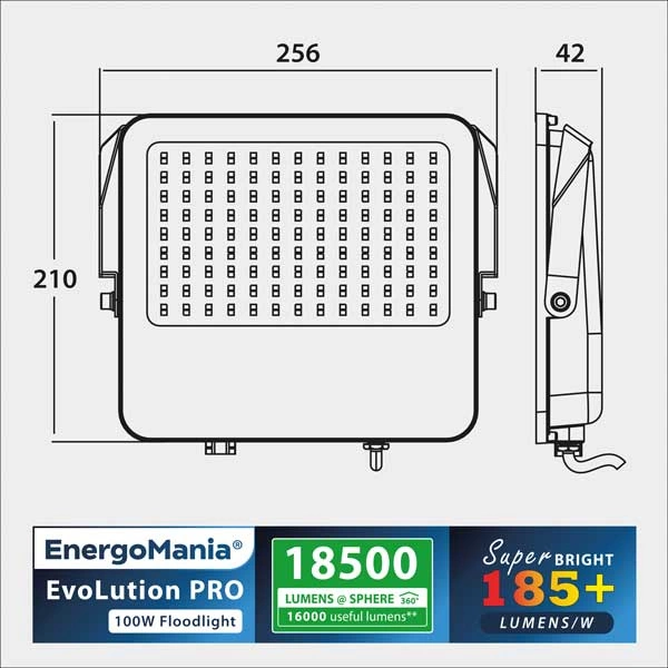 Wydajny naświetlacz LED EvoLution PRO 100W 185 lm/W